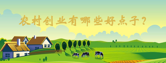 農村有什么好的創業項目 農村有什么好的創業項目