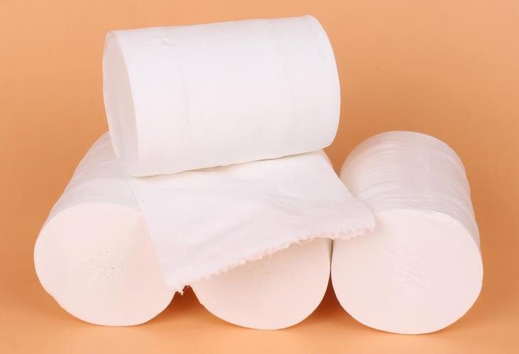 衛生紙機改造的市場需求及技術經濟分析 衛生紙機改造的市場需求及技術經濟分析