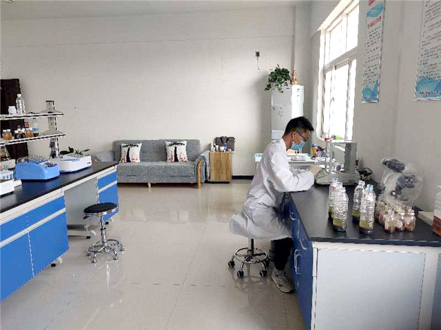 公司環境